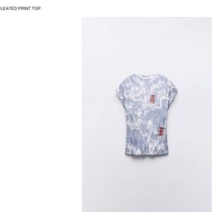 Zara Blue Pleated Asian Print Skirt and Top (Set)